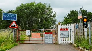 Medhurst Row Level Crossing Kent [upl. by Gnehp]