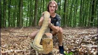 Surviving a KING COBRA BITE in BORNEO [upl. by Kcirdef]