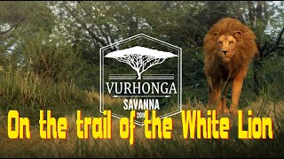 On the trail of the White Lion  the Hunter Call of the Wild™ [upl. by Siri]