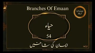 Hayaa  Emaan Ki Shaakhein  Nurulquran [upl. by Oech60]