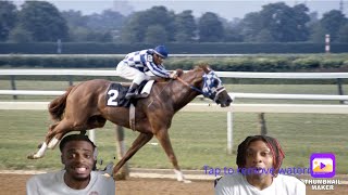 First Time Reacting to Secretariat  Triple Crown Races  High Quality Rare Footage [upl. by Belak]