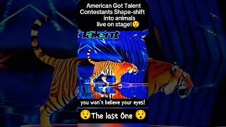 American Got Talent Contestants Shapeshift into animals show magic tiger [upl. by Trahern]