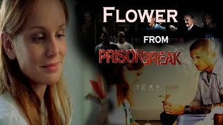 Origami flower from prison break [upl. by Ahsila]