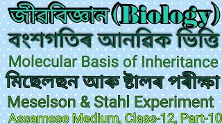 Bio Class 12 Chapter 6 Molecular Basis of Inheritance Assamese Medium Meselson amp Stahl Experiment [upl. by Aracat]