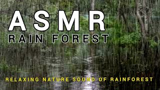 3 HOURS of Gentle RAINFOREST Rain Sounds for Relax and Sleep Beat Insomnia with Rain ASMR Sounds [upl. by Win485]