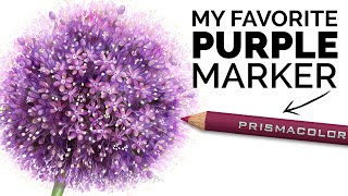 The 1 Colored Pencil Every Purple Marker Fan Needs [upl. by Sukin]