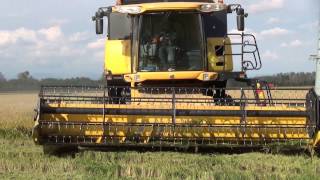 RICE HARVEST 2013 in NORTH WEST ITALY  The Best of RB74ify Motor Sound [upl. by Okiman745]