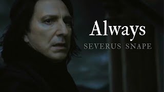 snape hating students for 3 minutes straight [upl. by Ran]