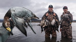 We Shot A Banded Canvasback w Nasal Tag from Manitoba  Minnesota Late Season Duck Hunting [upl. by Amoritta]