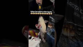 Peixe cervejeiro 😂😂😂😂😂😂 [upl. by Orelee]