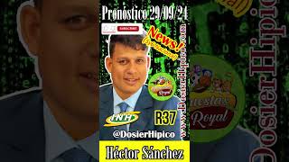 No dejes por fuera del 5Y6 Nacional  HÉCTOR SÁNCHEZ el VIP del Hipismo CLUBDEGANADORESVIP 290924 [upl. by Chatav]