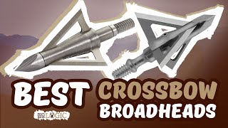 Best Crossbow Broadheads 🏹 Top Options Reviewed  Big Game Logic [upl. by Atiras]