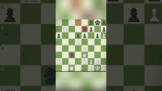 Daniil Dubov Brilliant Move  Tata Steel Chess India 2024 [upl. by Ditmore]