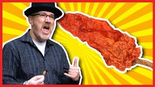 Ghost Pepper Challenge a 100000th Subscriber Celebration [upl. by Esiahc845]