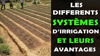 Les différents systèmes dirrigation en agriculture et leurs avantages [upl. by Elish490]