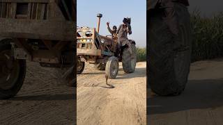 Tractor wale ne saanp dekh kar tractor rok lia [upl. by Curry]