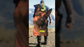 Dogmeat in 60 Seconds  Fallout Lore [upl. by Drwde]