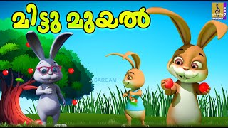 മിട്ടു മുയൽ  Kids Cartoon Stories Malayalam  Kids Cartoon  Mittu Muyal [upl. by Lemor102]