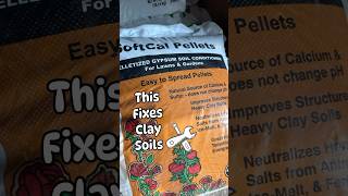 How to FIX Clay soil for growing Grass [upl. by Storm]