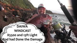 Chasing Snapper at Mornington Rocks [upl. by Chesnut]