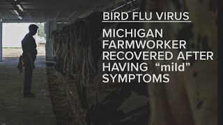 Second person diagnosed with Bird Flu CDC officials warn the virus could become more common [upl. by Haneeja454]