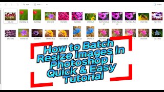 How to Batch Resize Images in Photoshop  Quick amp Easy Tutorial [upl. by Emeric]