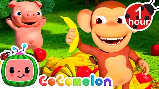 Apples and Bananas  1 Hour CoComelon Animal Time  Healthy Fruit Nursery Rhymes for Kids [upl. by Maighdlin581]