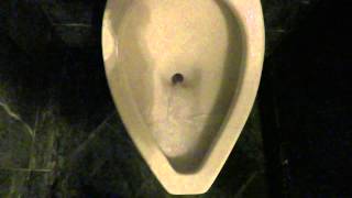 Bathroom Tour American Standard Urinal and Toilet Intercontinental Hotel Kansas City [upl. by Atsed318]