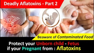 Aflatoxin Deadly effects on Human Health  Embyo  Children on Pregnancy  Acute amp Chronic Toxicity [upl. by Errehs]