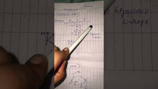 Aminoglycosides structure bpharmacy medicinalchemistry chemistry biology pharmacy neet [upl. by Sue]