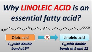 Why Linoleic acid is an essential fatty acid [upl. by Cain353]