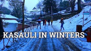 Kasauli in Winters  Himachal  February  Snowfall  Weekend Getaway  Ep1  Shashwat Khare [upl. by Borchers]