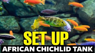 How To Setup An African Cichlid Tank 🐟 [upl. by Aylatan]