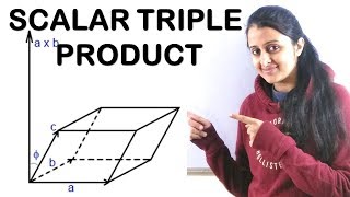 SCALAR TRIPLE PRODUCT OF VECTORS GEOMETRICAL INTERPRETATION AND PROPERTIES [upl. by Hoppe]