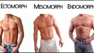 Ectomorph  Endomorph  Mesomorph  The 3 Different Body Types [upl. by Shelley928]