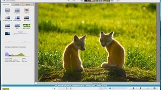 Google Picasa Free Photo Editing Program Tutorial [upl. by Auqenwahs]