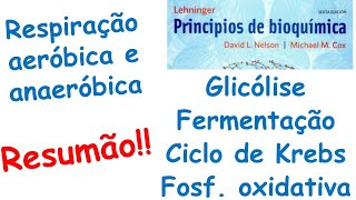 Respiração aeróbica e anaeróbica fermentação [upl. by Steel]