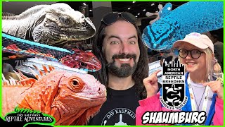 SCHAUMBURG NARBC REPTILE EXPO July 2024 [upl. by Arenahs]