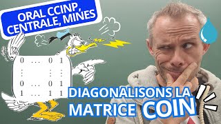 Diagonalisons la matrice COIN  spéL2 [upl. by Idet]