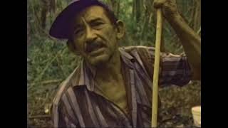 Belize On Reel CHICLERO 1992 [upl. by Seldan]