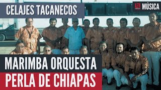 🇲🇽 🎶 «CELAJES TACANECOS»  Marimba Orquesta Perla de Chiapas  Música de marimba para bailar [upl. by Langbehn962]