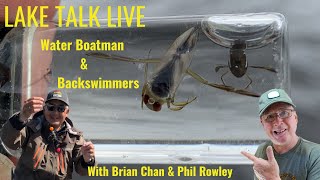 Lake Talk LiveWater Boatman and Backsimmers [upl. by Lotsirk]