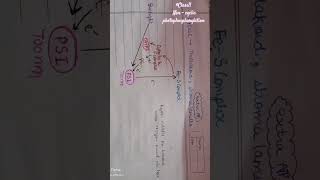 Light reaction  non cyclic photophosphorylation class11biology photosynthesisinhigherplants neet [upl. by Geoffry]