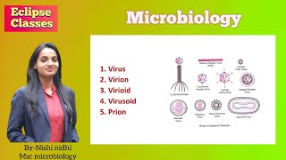 Virus  Virion  virioid  virusoid  prion  virology  microbiology  byNishi Nidhi microbiology [upl. by Chi793]