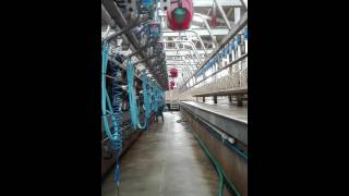 fullwood milking parlour 5025 unit swingover [upl. by Fadil]