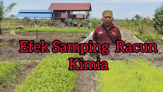 Efek Samping Racun Kimia [upl. by Alemac]