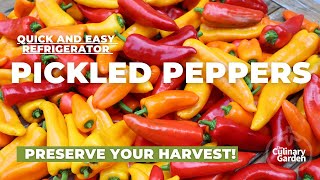 PICKLED SWEET PEPPERS Preserve your garden harvest in the fridge [upl. by Landing575]