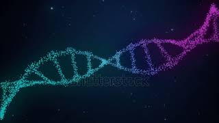 Double Helix Structure of DNA [upl. by Enirhtak]