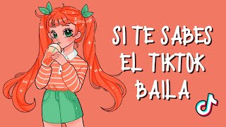 SI TE SABES EL TIKTOK BAILA 2024│ADZ TikTok [upl. by Hutchings]