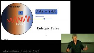 Erik Verlinde quotEmergence of Gravity from Quantum Information a Progress Reportquot [upl. by Cathee]